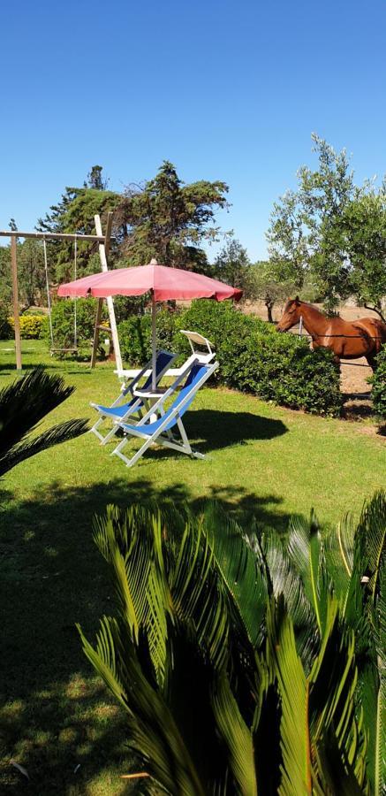Antico Casolare Sorso-Tourist Rental Zewnętrze zdjęcie