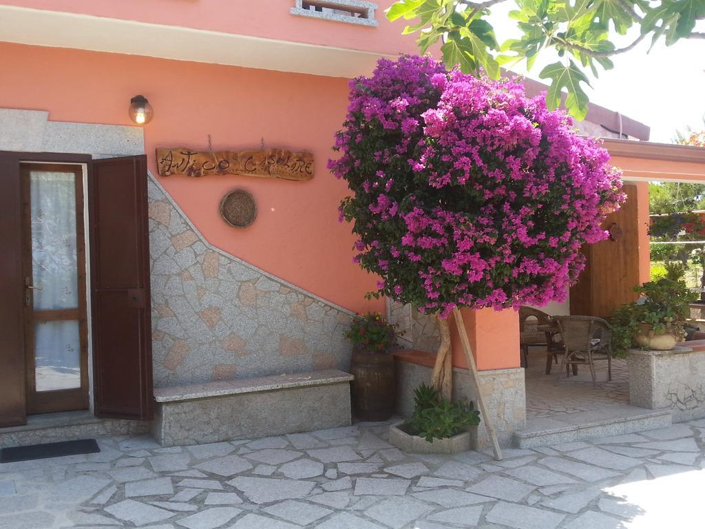 Antico Casolare Sorso-Tourist Rental Zewnętrze zdjęcie